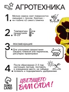 Семена Виола "Майя Виттрока", ц/п,  0,05 г (комплект 2 шт) - фото 33075152