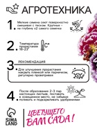 Семена Виола "Махровое кружево", триколор, F1, 4 шт - фото 808621060