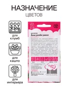 Семена Маргаритка "Весна розовая ранняя", ц/п,  0,02 г 10180987