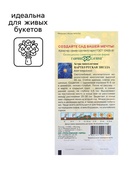 Семена Астра "Вартбургская звезда", ц/п, 0,05 г 10181007 - фото 2808595