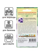 Семена Виола "Сорбет XP Беконсфилд", ц/п,  F1, 4 шт. (комплект 2 шт) - фото 33075168