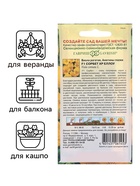 Семена Виола "Сорбет XP Еллоу", ц/п,  F1, 4 шт. 10181017