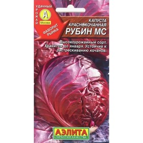 Семена Капуста к/к "Рубин МС Ср" 10181369