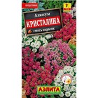 Семена Алиссум "Кристалина", смесь сортов 10181395 - фото 12082063