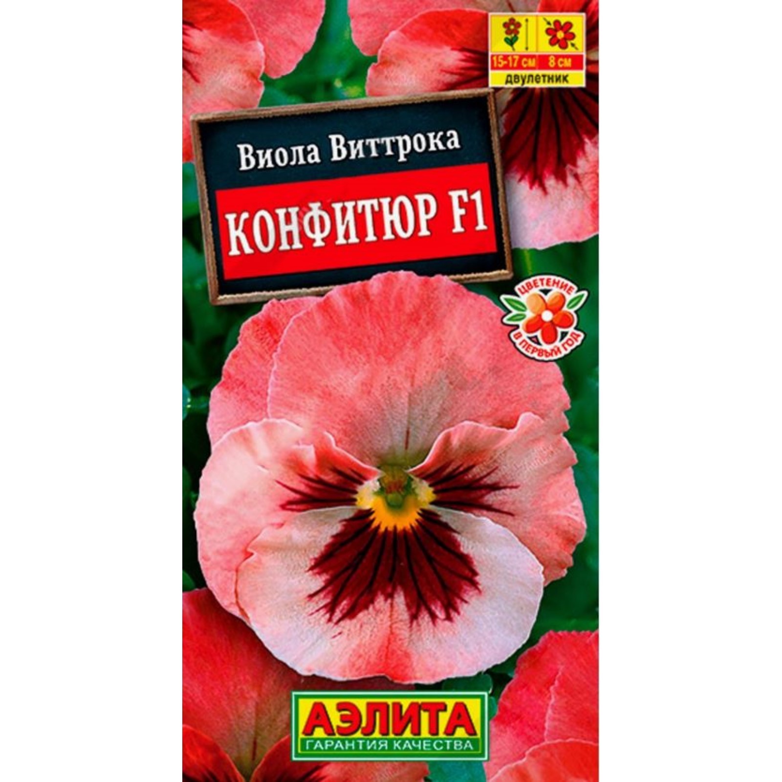 Семена Виолы Купить В Интернет Магазине