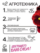 Семена Виола "Матрикс", F1, красная - фото 33075210