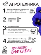 Семена Виола "Матрикс" , F1, синяя - фото 33075213