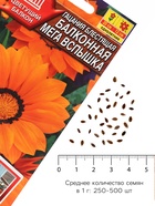 Семена Гацания «Балконная», для балкона, веранды, цветника, однолетник, низкорослая4 шт. - Фото 4