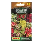 Семена Колеус «Волшебник», смесь сортов, 5 шт. - Фото 1