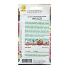 Семена Колеус «Волшебник», смесь сортов, 5 шт. - Фото 2