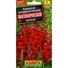 Семена Львиный зев "Высокорослый", красный 10181449 - фото 12082081