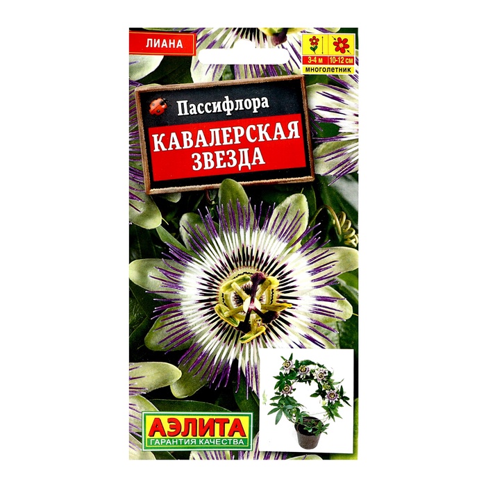 Семена Пассифлора «Кавалерская звезда», 5 шт., «Аэлита Агро» - Фото 1