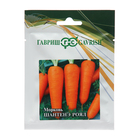 Семена Морковь "Шантенэ Роял", 25 г - фото 321054934