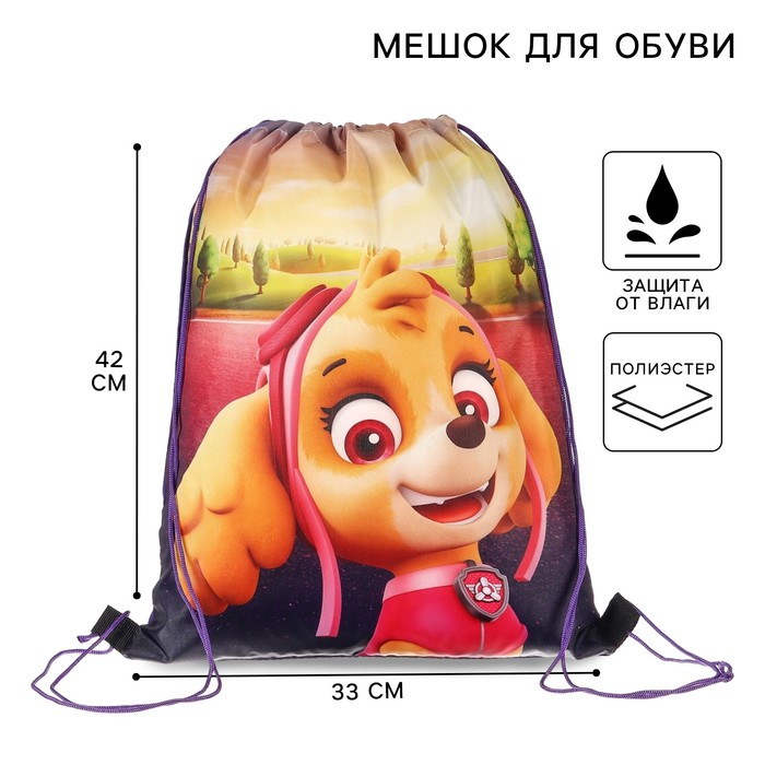 Мешок для обуви 420×330 мм, «Скай, Щенячий патруль» - Фото 1