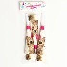 Карнавальный гудок «Кошечка», набор 6 шт. 10084857