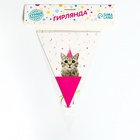 Гирлянда бумажная «Котик» 10084859