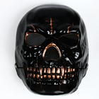 Карнавальная маска «Череп», цвет чёрный - Фото 1