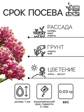 Семена Ваточник "Карминно-розовый", ц/п,  0,03 г (комплект 2 шт)