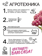 Семена Ваточник "Карминно-розовый", ц/п,  0,03 г - фото 33075286