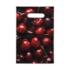 Пакет «Вишня», полиэтиленовый с вырубной ручкой, 20×30 см, 30 мкм - Фото 2