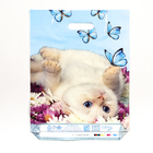 Пакет "Сливочный кот", полиэтиленовый с вырубной ручкой, 30х40 см, 60 мкм - Фото 2