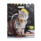 Пакет "Ученый кот", полиэтиленовый с вырубной ручкой, 37,5*47,5 см, 50 мкм - Фото 2