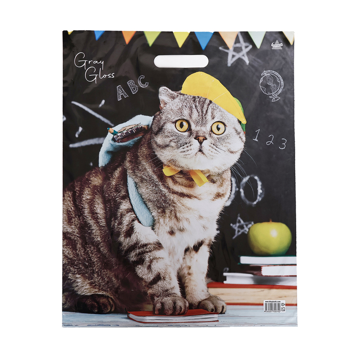 Пакет "Ученый кот", полиэтиленовый с вырубной ручкой, 37,5*47,5 см, 50 мкм