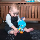 Развивающая подвесная игрушка Baby Einstein «Осьминог» - Фото 6