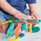 Развивающая игрушка Bright Starts «Ленивец» - Фото 5