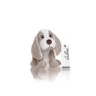 Мягкая игрушка Gulliver собачка, цвет серо-белый, 22 см - Фото 2