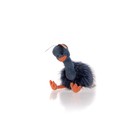 Мягкая игрушка Gulliver страус «Патрик», 30 см - Фото 9