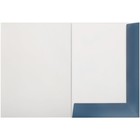 Папка для черчения А3, 24 листа, Гамма «Студия» (бумага Гознак СПб), без рамки, 200 г/м² - Фото 2