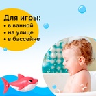 Заводная игрушка водоплавающая «Акулёнок», цвета МИКС - Фото 3