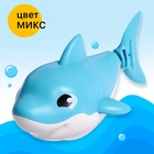 Заводная игрушка водоплавающая «Акулёнок», цвета МИКС - Фото 5