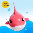 Заводная игрушка водоплавающая «Акулёнок», цвета МИКС - Фото 6