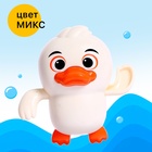 Заводная игрушка водоплавающая «Утёнок», цвета МИКС - Фото 5