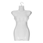 Манекен женский, бюст с крючком, 38×13×67 см, белый - Фото 3