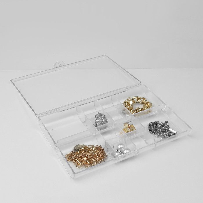 Органайзер для хранения украшений "Лео", 12 ячеек, 18x12x2,5 см, цвет прозрачный