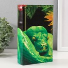 Сейф-книга дерево кожзам "Змея в джунглях" 3D тиснение 21х13х5 см - фото 3431118
