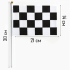 Флаг "Гоночный", набор 10 шт, 14 х 21 см, полиэстер - фото 321112989
