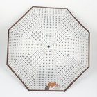 Зонт механический «Кошки», эпонж, 4 сложения, 8 спиц, R = 48 см, цвет МИКС - фото 9333304