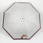 Зонт механический «Кошки», эпонж, 4 сложения, 8 спиц, R = 48 см, цвет МИКС - фото 9001377