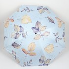 Зонт механический «Листопад», эпонж, 4 сложения, 8 спиц, R = 48 см, цвет МИКС - фото 9333308