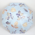 Зонт механический «Листопад», эпонж, 4 сложения, 8 спиц, R = 48 см, цвет МИКС - фото 9001384