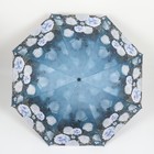 Зонт механический «Пионы», эпонж, 4 сложения, 8 спиц, R = 48 см, цвет МИКС - фото 9333315