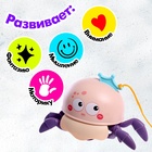 Заводная игрушка «Медуза», водоплавающая, цвета МИКС - Фото 4