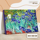 УЦЕНКА Картина по номерам на холсте с подрамником «Ирисы» Винсент ван Гог, 40 х 50 см - Фото 2