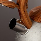 УЦЕНКА Чайник со свистком из нержавеющей стали Magistro Stone, 2,7 л, ручка soft-touch, индукция, цвет серый - Фото 2