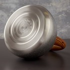 УЦЕНКА Чайник со свистком из нержавеющей стали Magistro Stone, 2,7 л, ручка soft-touch, индукция, цвет серый - Фото 5