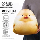 Игрушка антистресс «Утка» - Фото 1